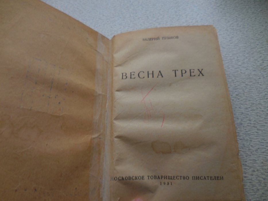 Пушков Валерий. Весна трех. роман.