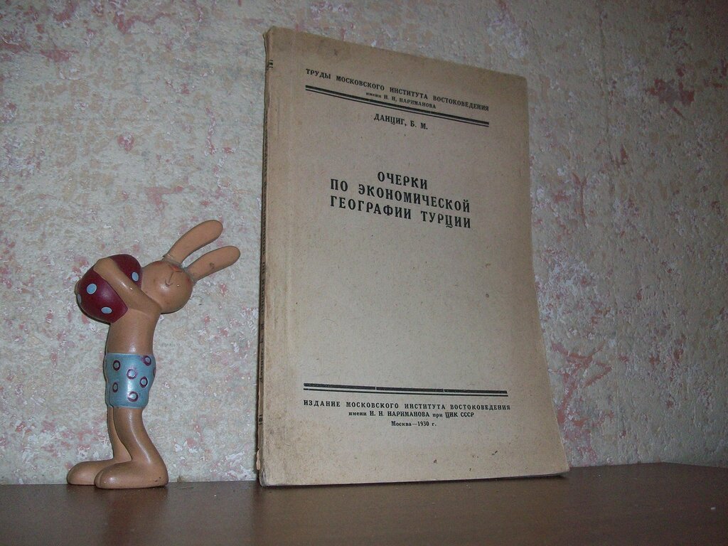 Данциг Б. Очерки по экономической географии Турции.