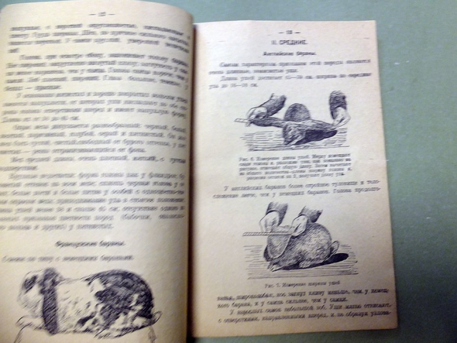 Осипов А.,Золотарев А., Ельманов Н. Кролики. Как разводить и содержать кроликов. Приготовление кушаний из кроличьего мяса.