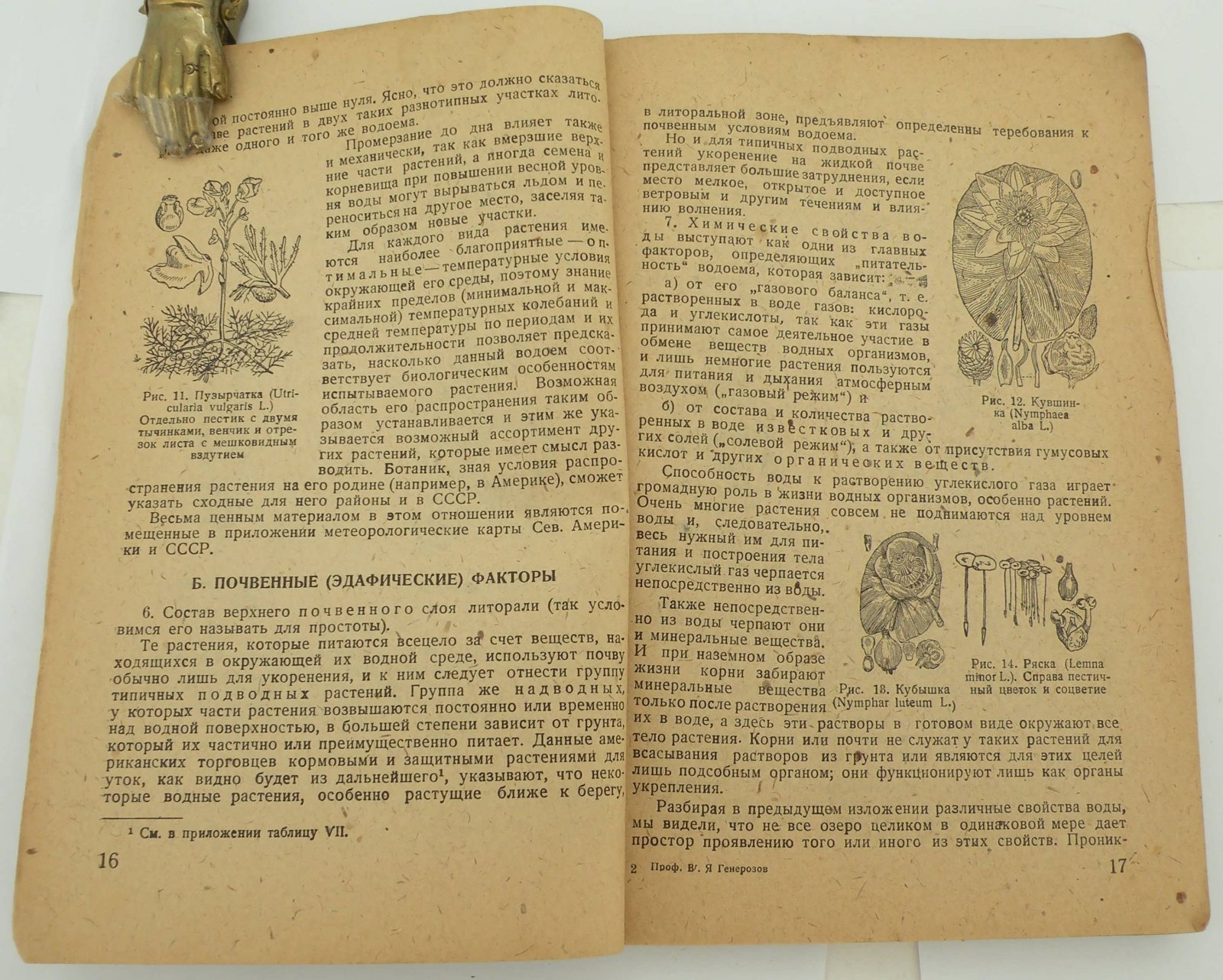 Генерозов В.Я. (Проф.). Культура кормовых и защитных растений для водоплавающей дичи.