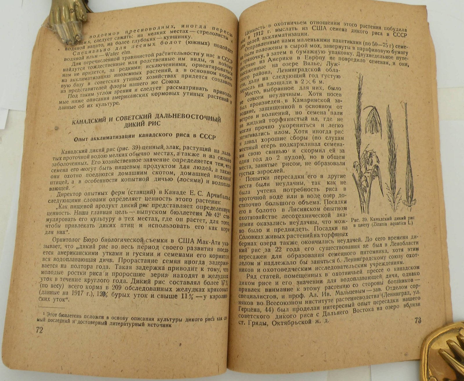 Генерозов В.Я. (Проф.). Культура кормовых и защитных растений для водоплавающей дичи.