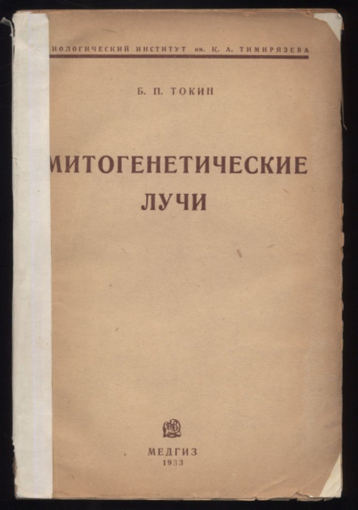 Токин Б.П. Митогенетические лучи.