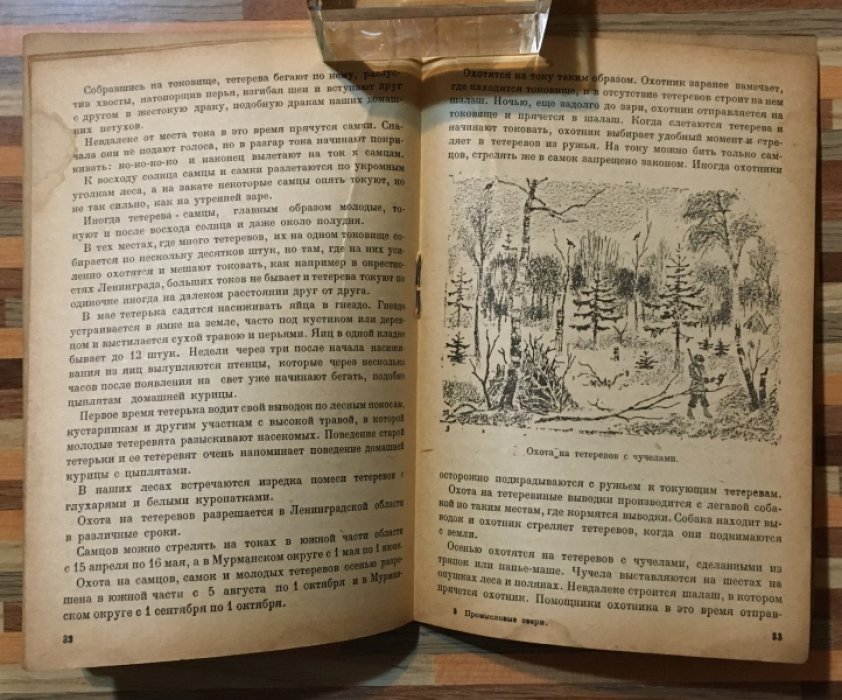 Фалькенштейн Б.Ю. Звери и птицы Ленинградской области и охота на них.