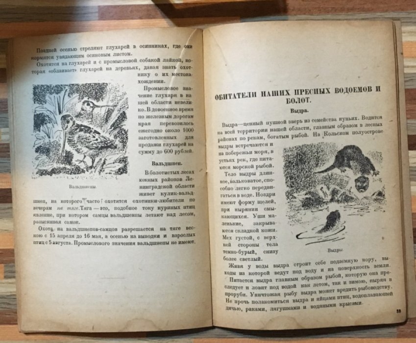 Фалькенштейн Б.Ю. Звери и птицы Ленинградской области и охота на них.