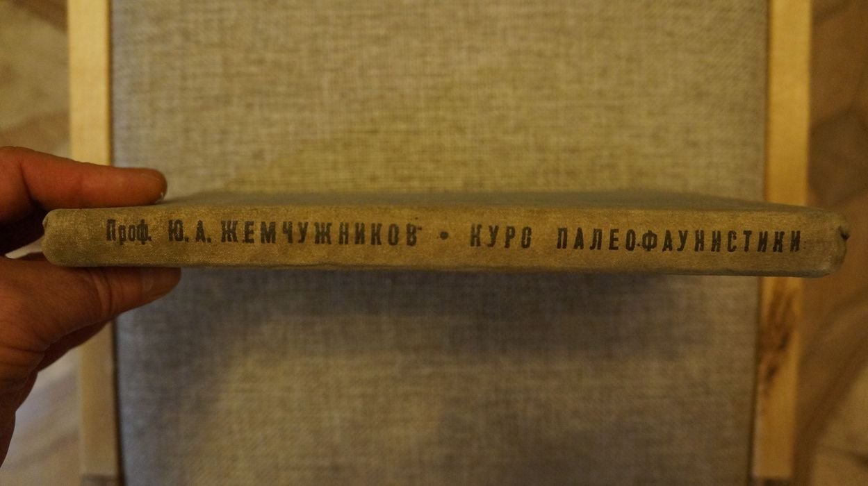 Жемчужников Ю.А., профессор Курс палеофаунистики.