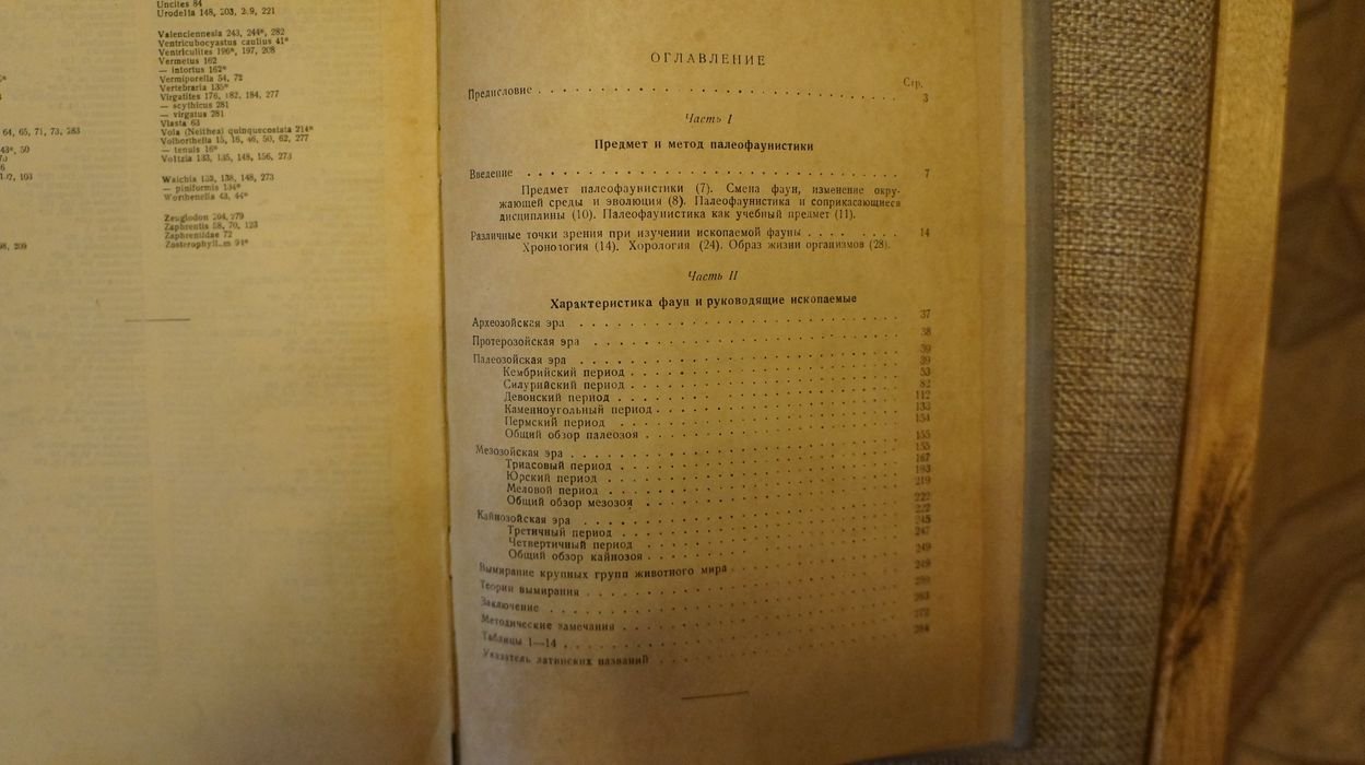 Жемчужников Ю.А., профессор Курс палеофаунистики.
