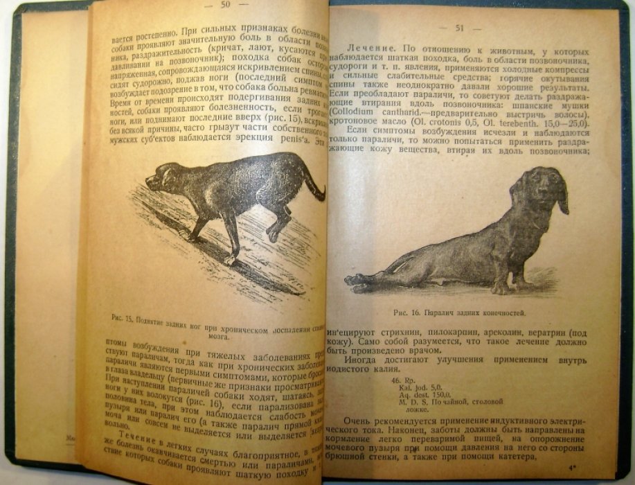 Мюллер Г. Болезни собак.