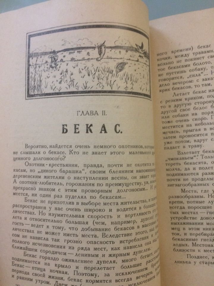 Рахманин Гр. По болоту за долгоносыми.