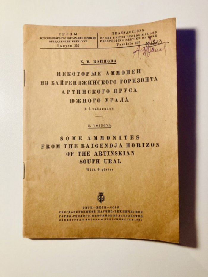 Воинова Е. В. Некоторые аммонеи из Байгенджинского горизонта Артинского яруса Южного Урала.