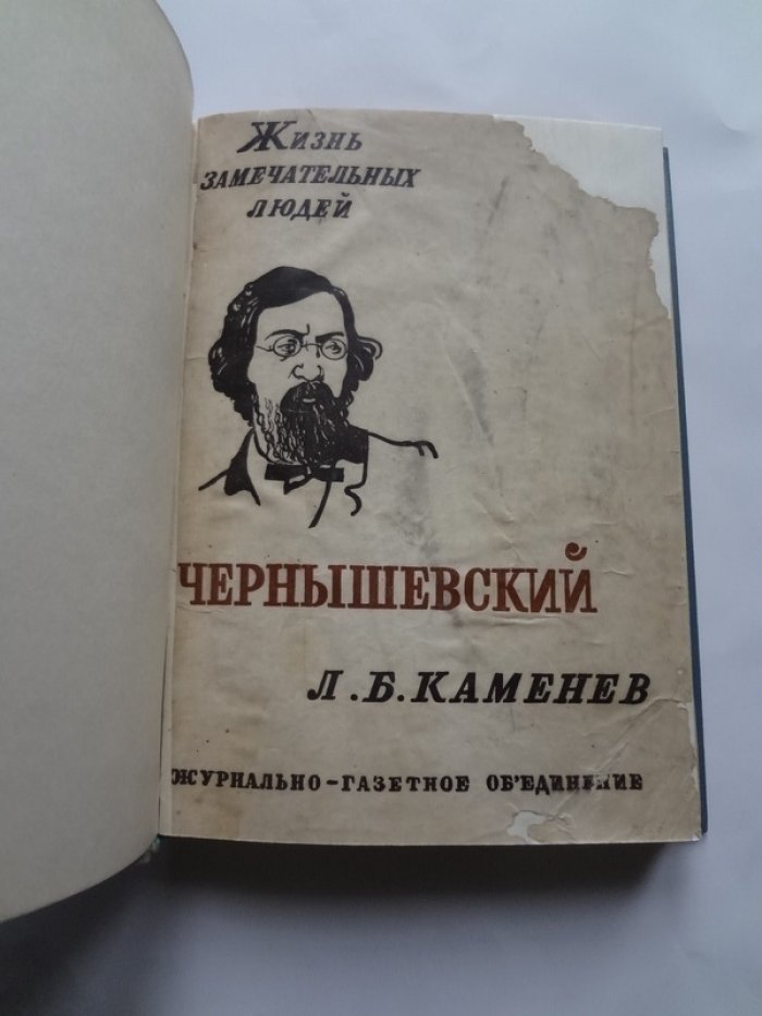 Каменев Л.Б. Чернышевский.