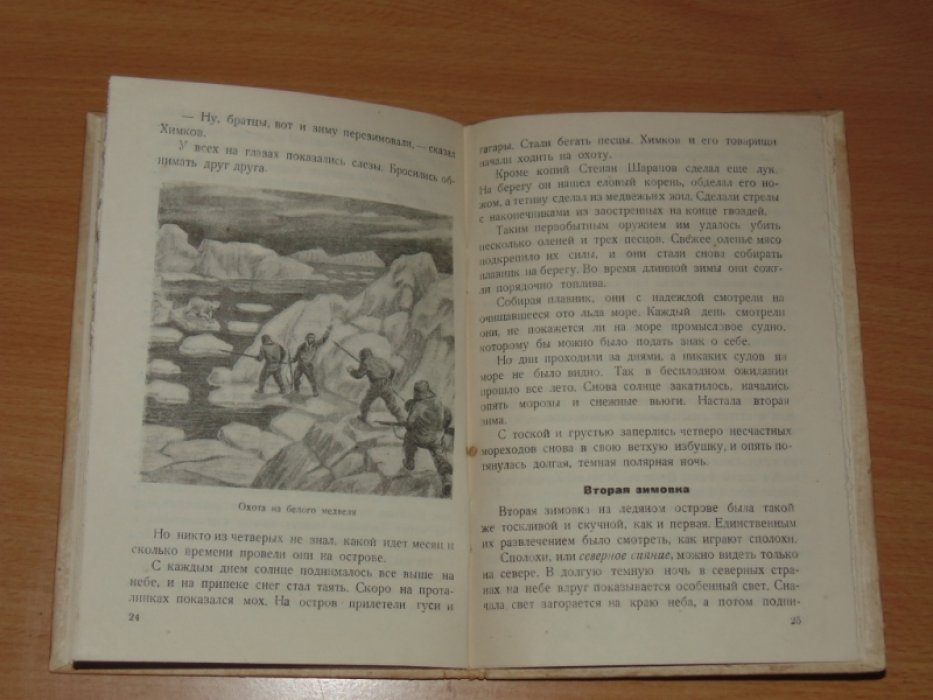 Лебедев Н.К. Архангельские робинзоны.