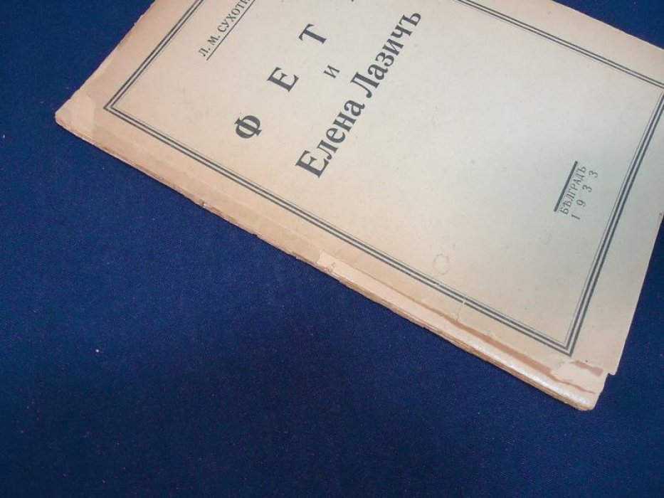Сухотин Л. М. Фет и Елена Лазич.
