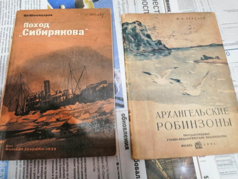 Лебедев Н.К. Архангельские робинзоны.