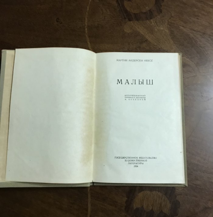 Андерсен Нексе Мартин . Малыш.