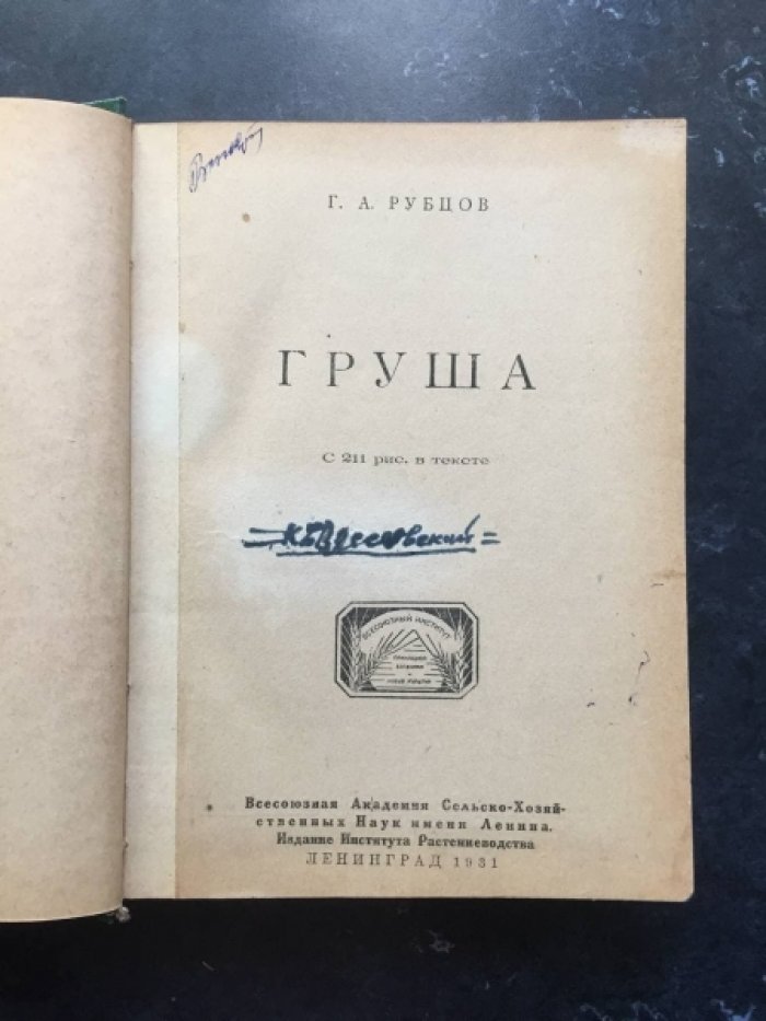 Рубцов Г.А. Груша. С 211 рис.в тексте.