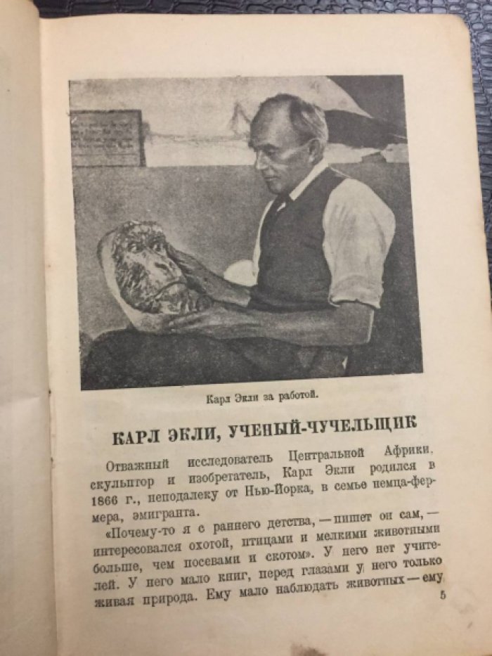 Экли К. В сердце Африки.