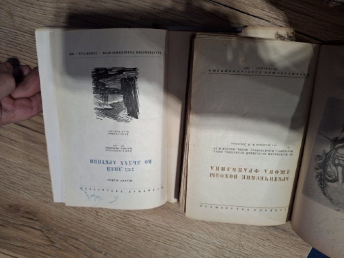 Пайер Юлиус. 725 дней во льдах Арктики. Австро-Венгерская полярная экспедиция (1871–1874).
