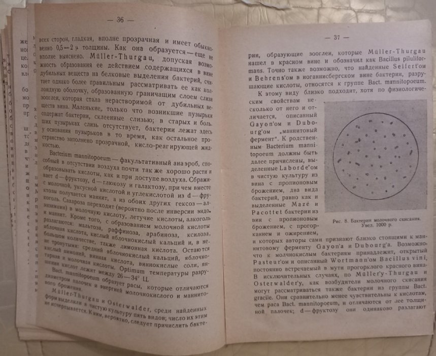 Агапов В.В. Винодел совхоза `Абрау -Дюрсо.` Болезни и пороки вина.