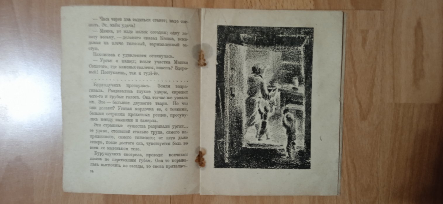 Еллинский Б. Бурундучиха.