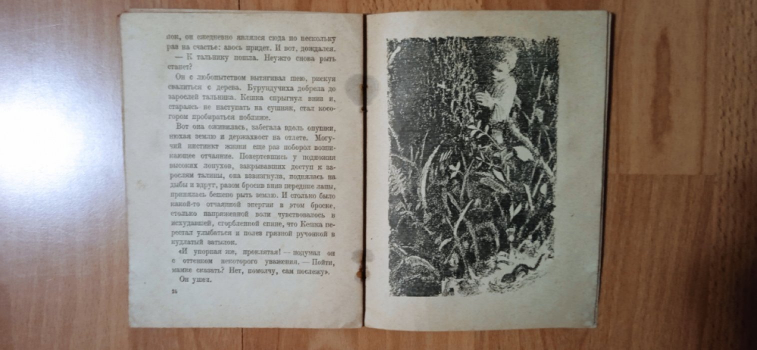 Еллинский Б. Бурундучиха.