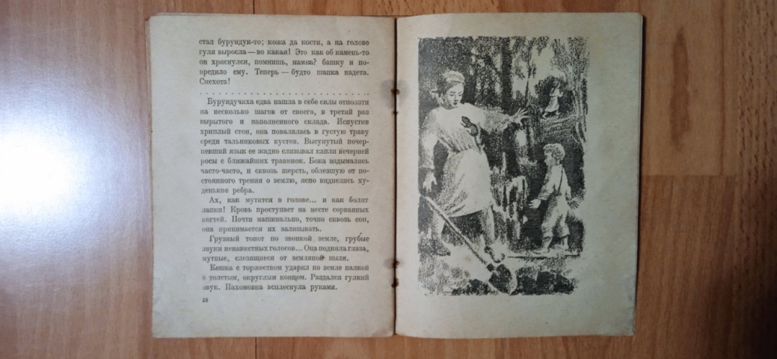 Еллинский Б. Бурундучиха.