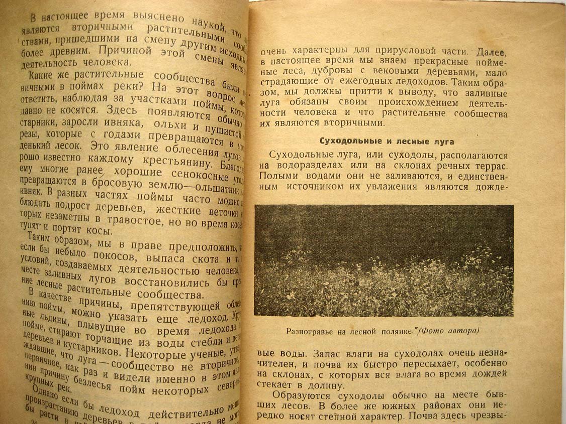 Кожевников А. Изучайте луга и болота.