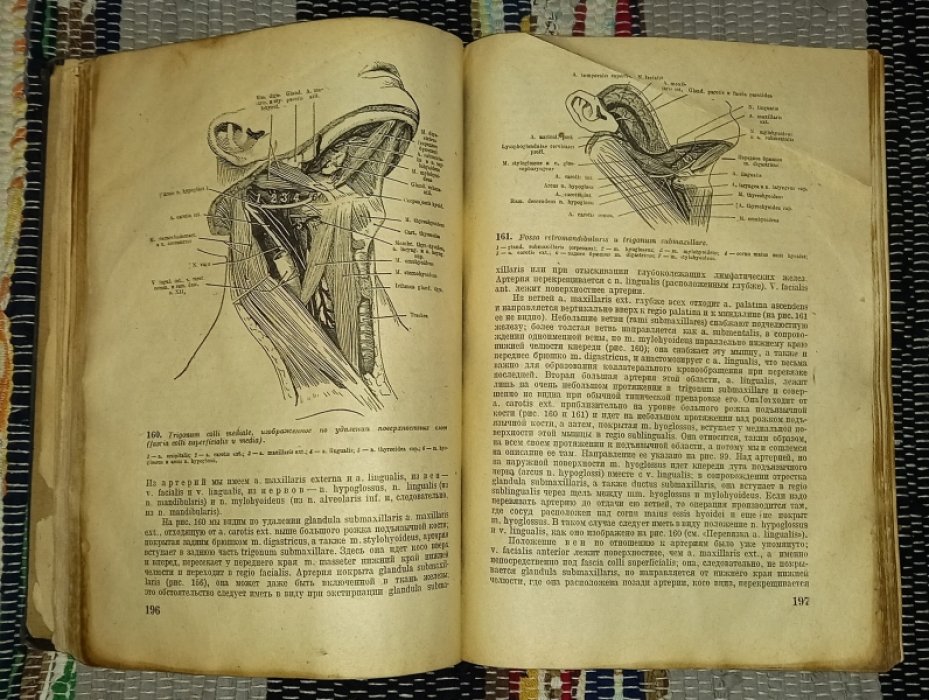 Корнинг Г.К. Топографическая анатомия.