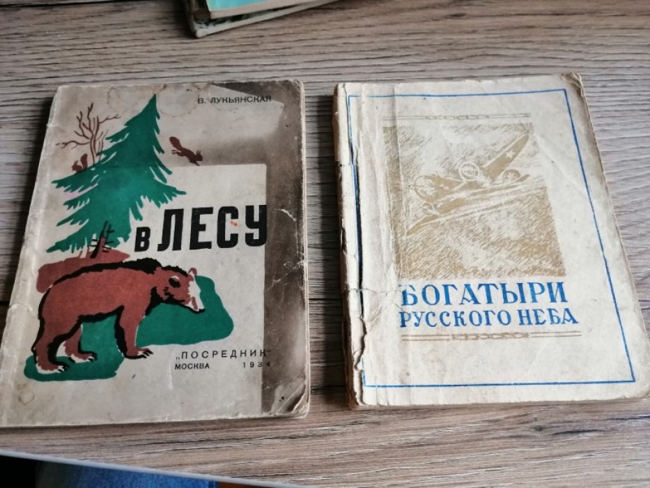 Лукьянская В. В лесу.