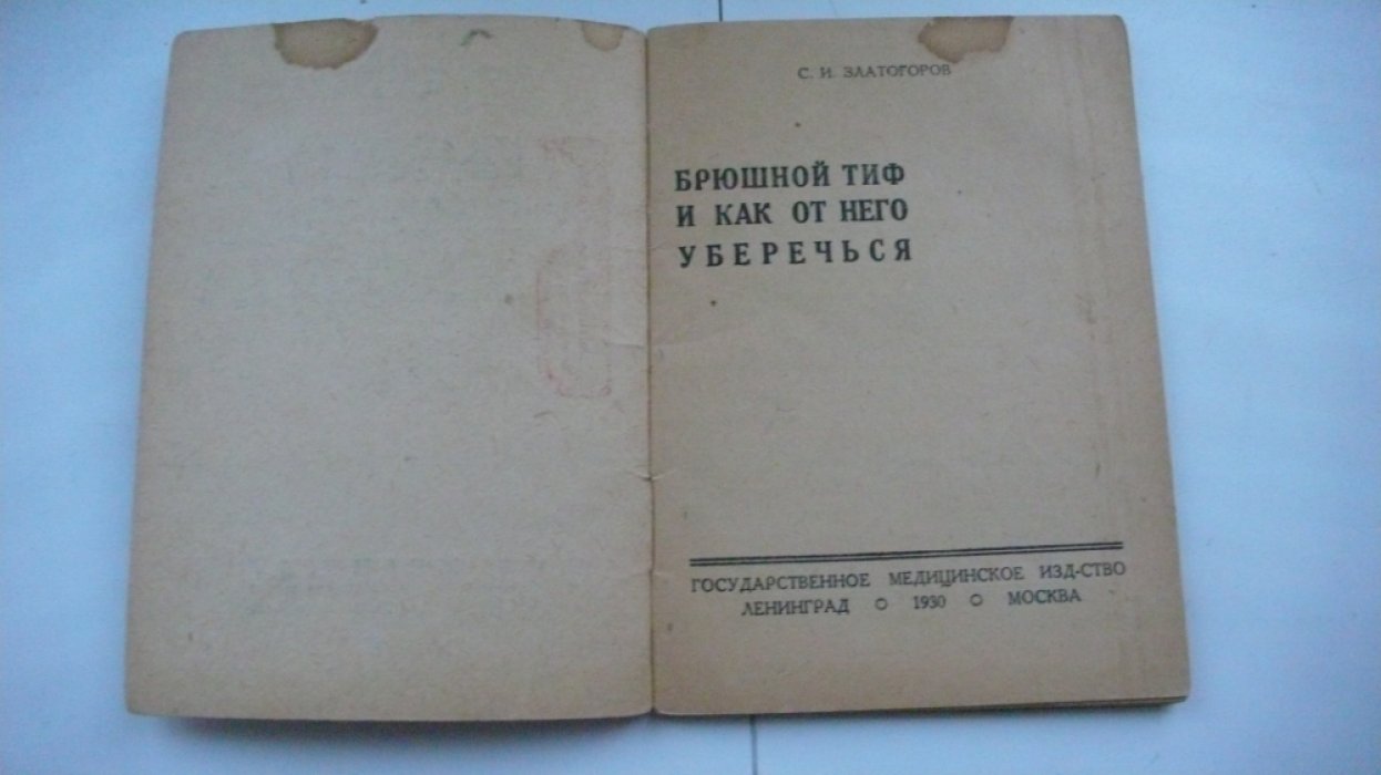 Златогоров С.И. Брюшной тиф и как от него уберечься.