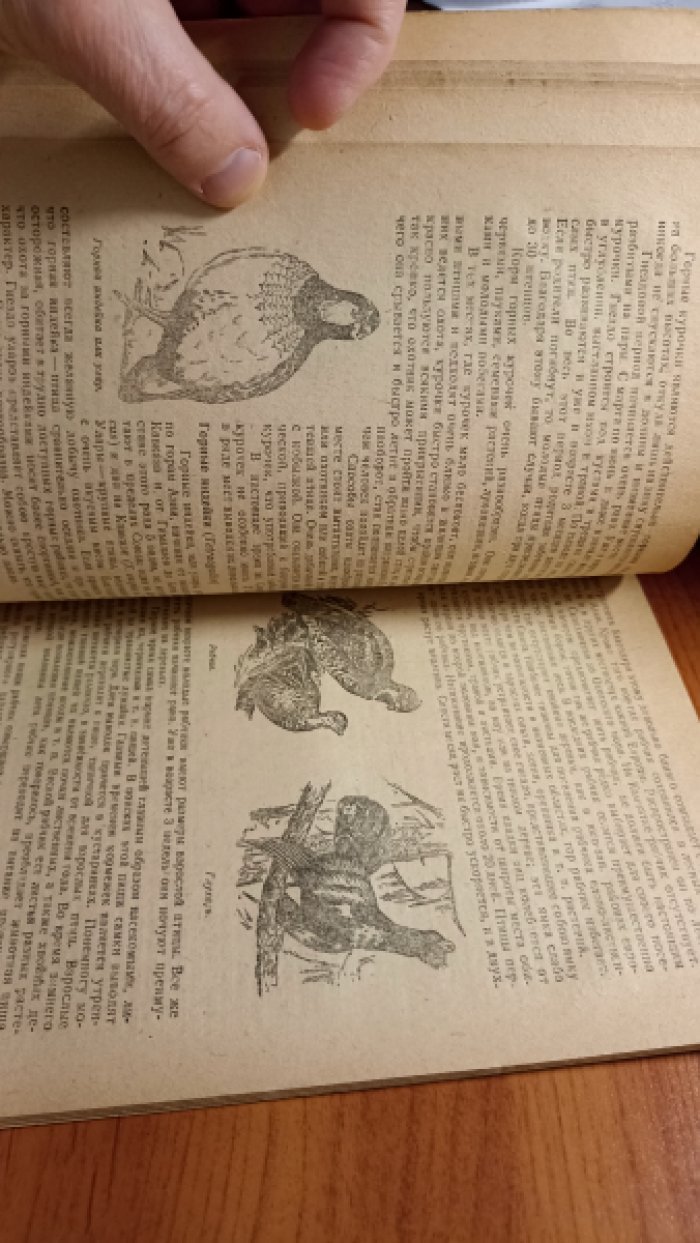 Петров В.В. Богатства животного мира СССР. Промысловые птицы и беспозвоночные животные.
