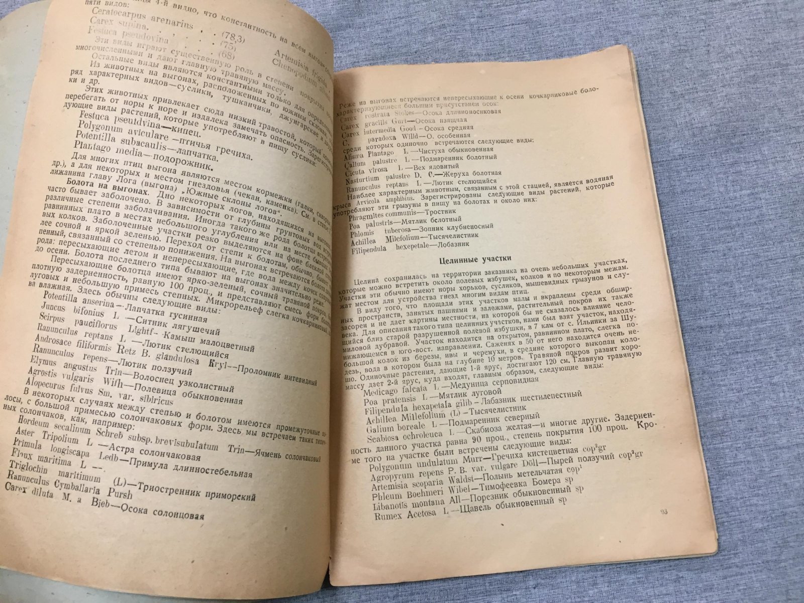 Зверева О.Н. Ботаническое описание Хорькового заказника Сибизра.