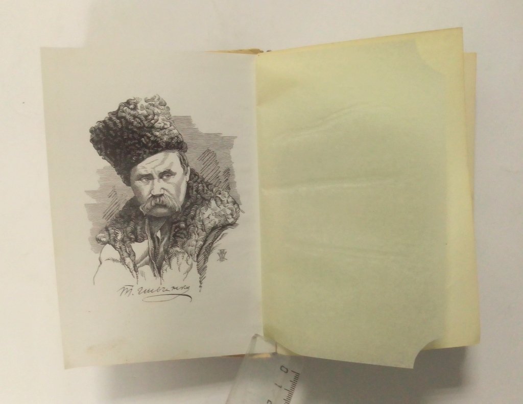 Шевченко, Т. Г. Дневник.