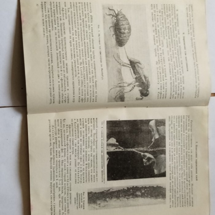 Теленга Н.А. Паразит кровяной тли Aphelinus mali hald и его применение в СССР.