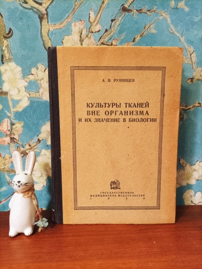 Румянцев А.В. Культуры тканей вне организма и их значение в биологии.