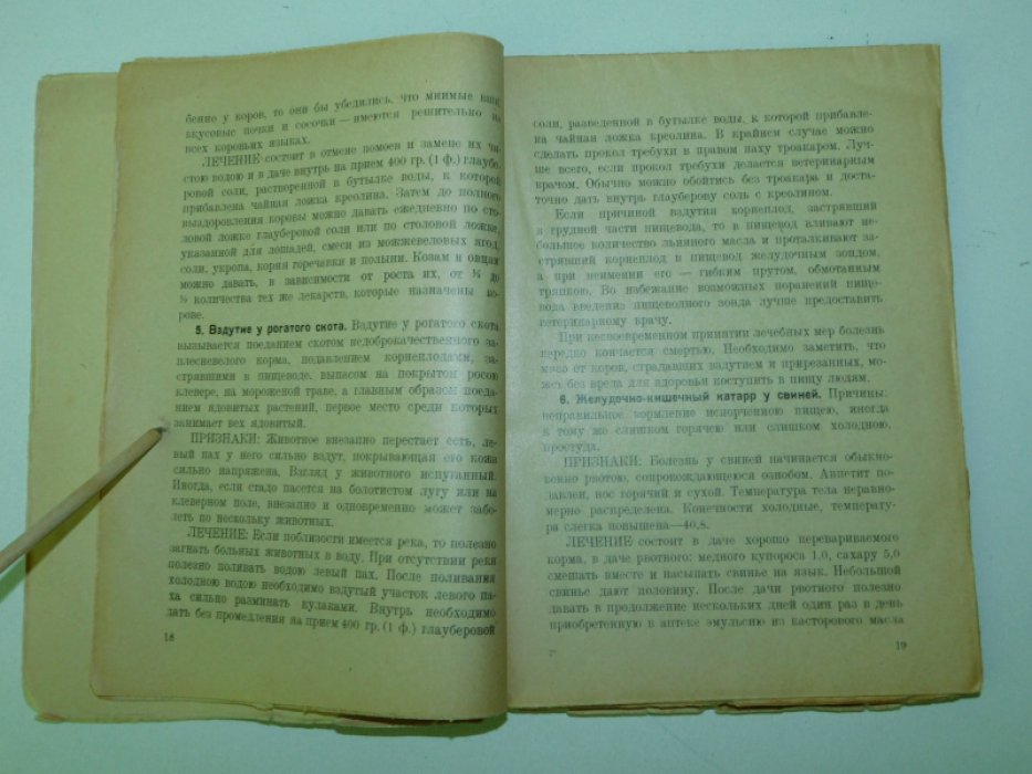 Лечебник домашних животных.