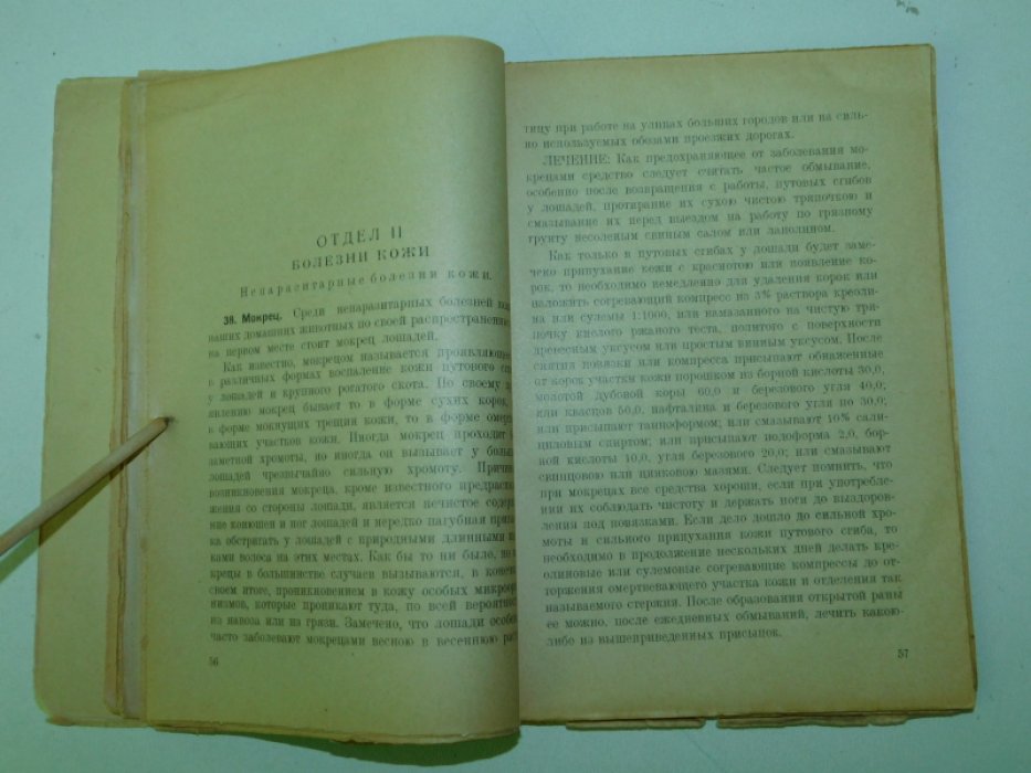 Лечебник домашних животных.