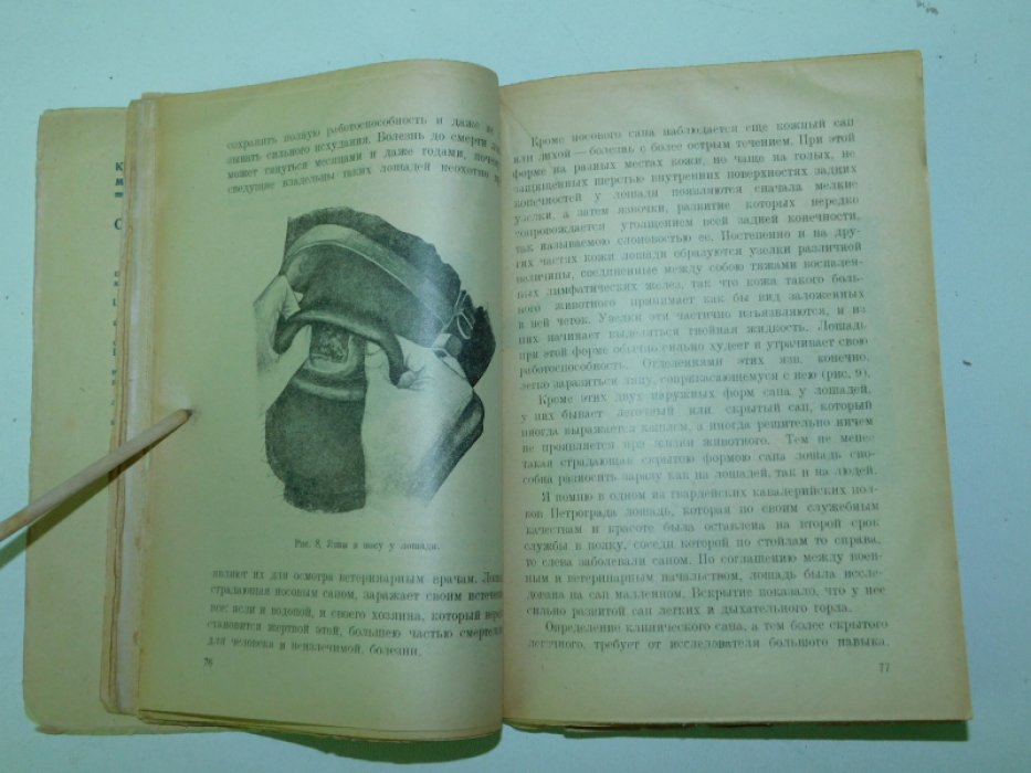 Лечебник домашних животных.