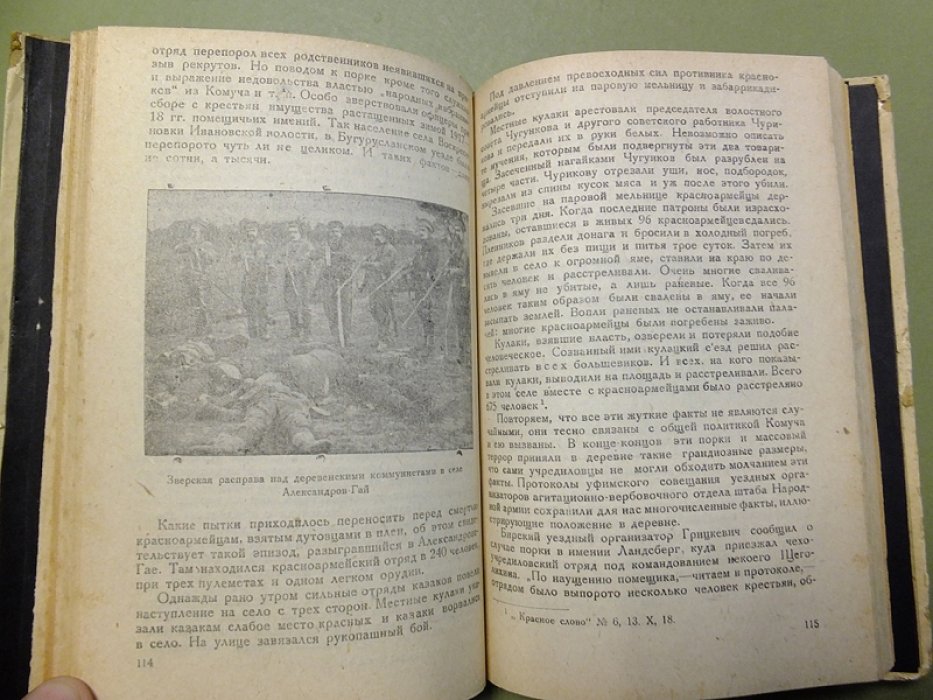 Попов Ф. Чехословацкий мятеж и Самарская Учредилка.