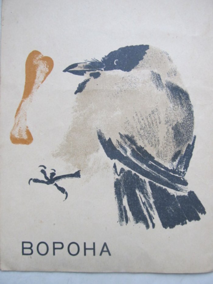 Чарушин Е. Вольные птицы.
