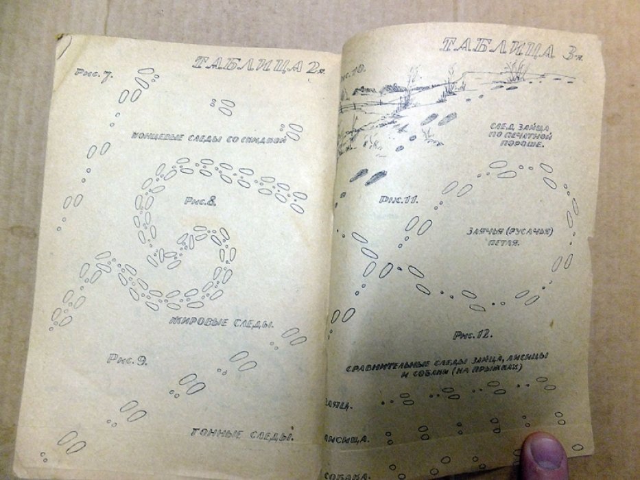 Рахманин Гр. По косым (охота на зайцев).