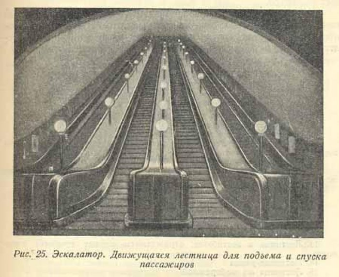 Гаузе, Ф.Г. Лестницы.