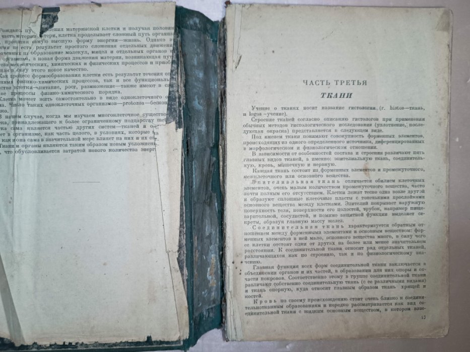 Воробьев В., Иванов Г. Краткий учебник анатомии человека. Том 1. Введение. Аппарат опоры и движения.