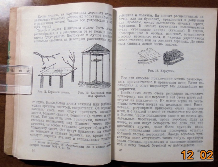 Промптов А.Н. Сезонные наблюдения над птицами в природе.