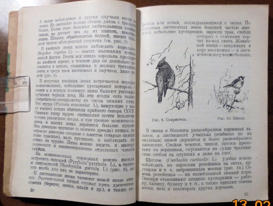 Промптов А.Н. Сезонные наблюдения над птицами в природе.