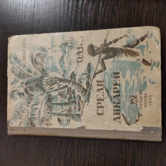 Лебедев Н. Один среди дикарей.