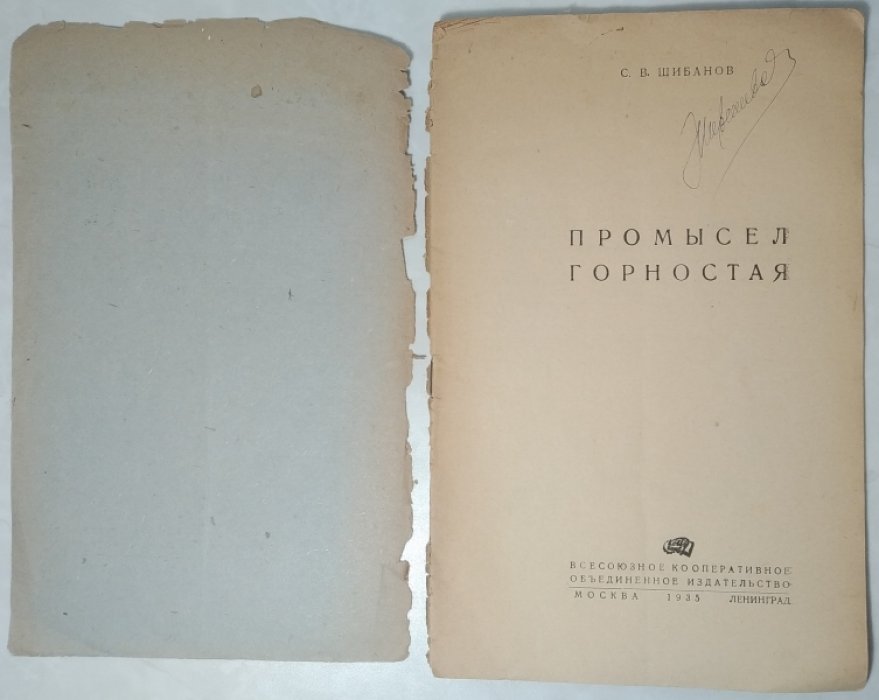 Шибанов С.В. Промысел горностая.