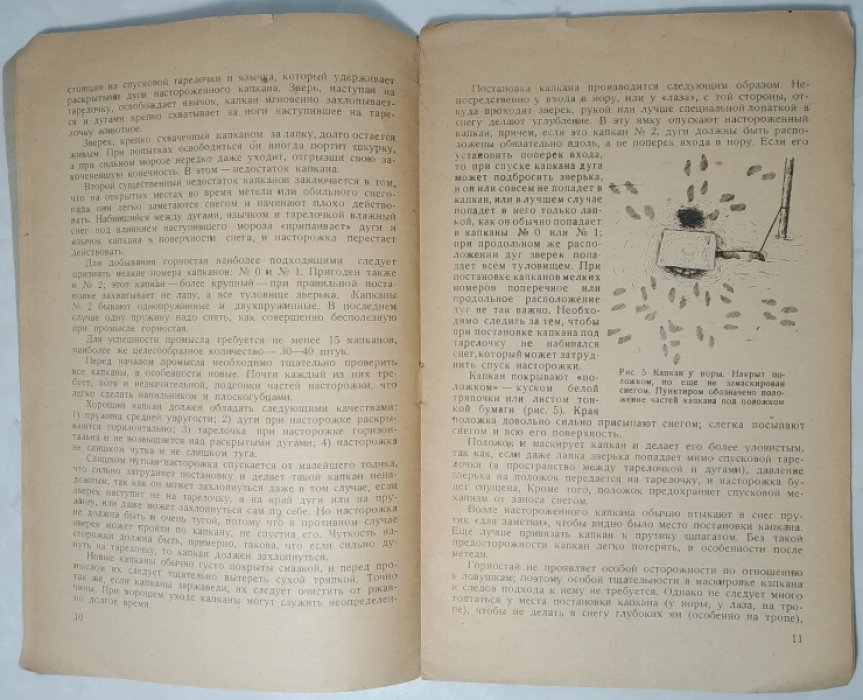 Шибанов С.В. Промысел горностая.