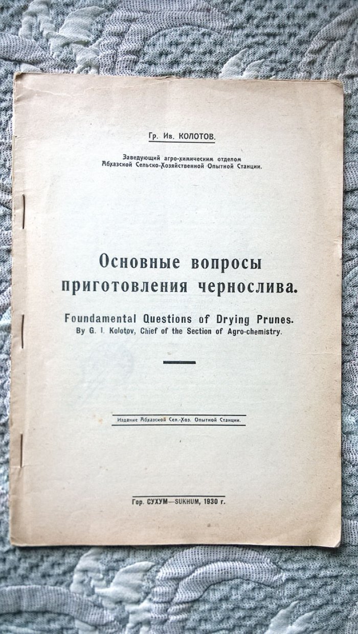 Колотов Г.И. Основные вопросы приготовления чернослива.