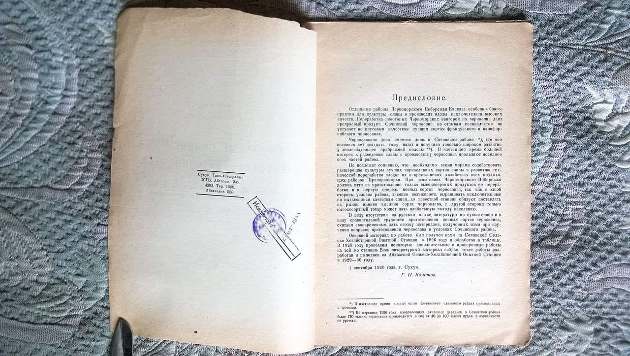 Колотов Г.И. Основные вопросы приготовления чернослива.