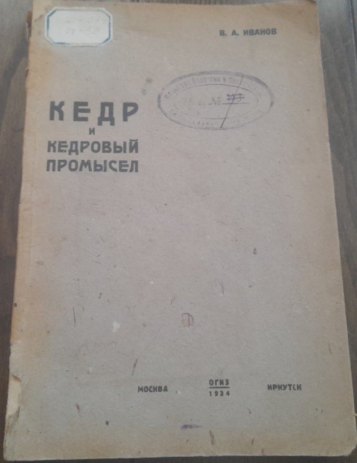 Иванов В. Кедр и Кедровый промысел.